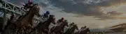 Avis PMU %YYYY% Paris Sportifs et Courses Hippiques : Test Complet