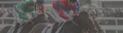 How to Bet On Cheltenham Festival %YYYY%: Betting Strategies