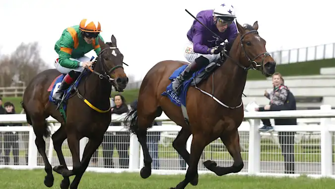 Arizona Blaze has consistently run well at the Curragh and can make amends for his heart-breaking Royal Ascot defeat