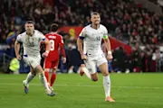 Edin Dzeko Celebrates Late Equaliser Against Wales