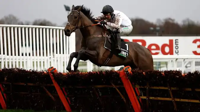 Preview of the National Hunt Steeple Chase Challenge Cup on Day 1 of the 2026 Cheltenham Festival on Tuesday, 10th March