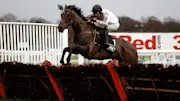 Cheltenham Champion Hurdle 2023 predictions: Constitution Hill impossible to oppose