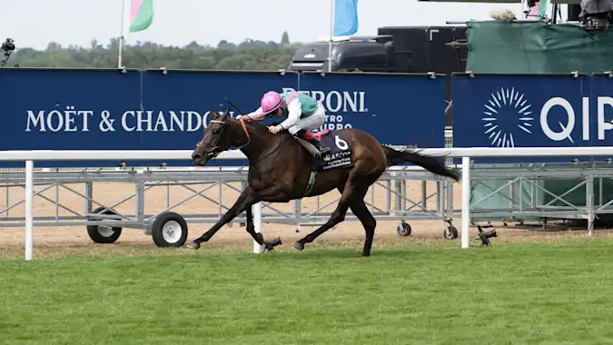 Kalpana could enjoy success in the Yorkshire Oaks for trainer Andrew Balding