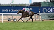 Kalpana could enjoy success in the Yorkshire Oaks for trainer Andrew Balding
