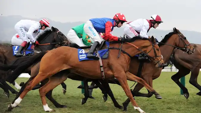 Cheltenham Festival 2024: Five things to look out for