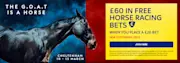 Sky Bet Cheltenham