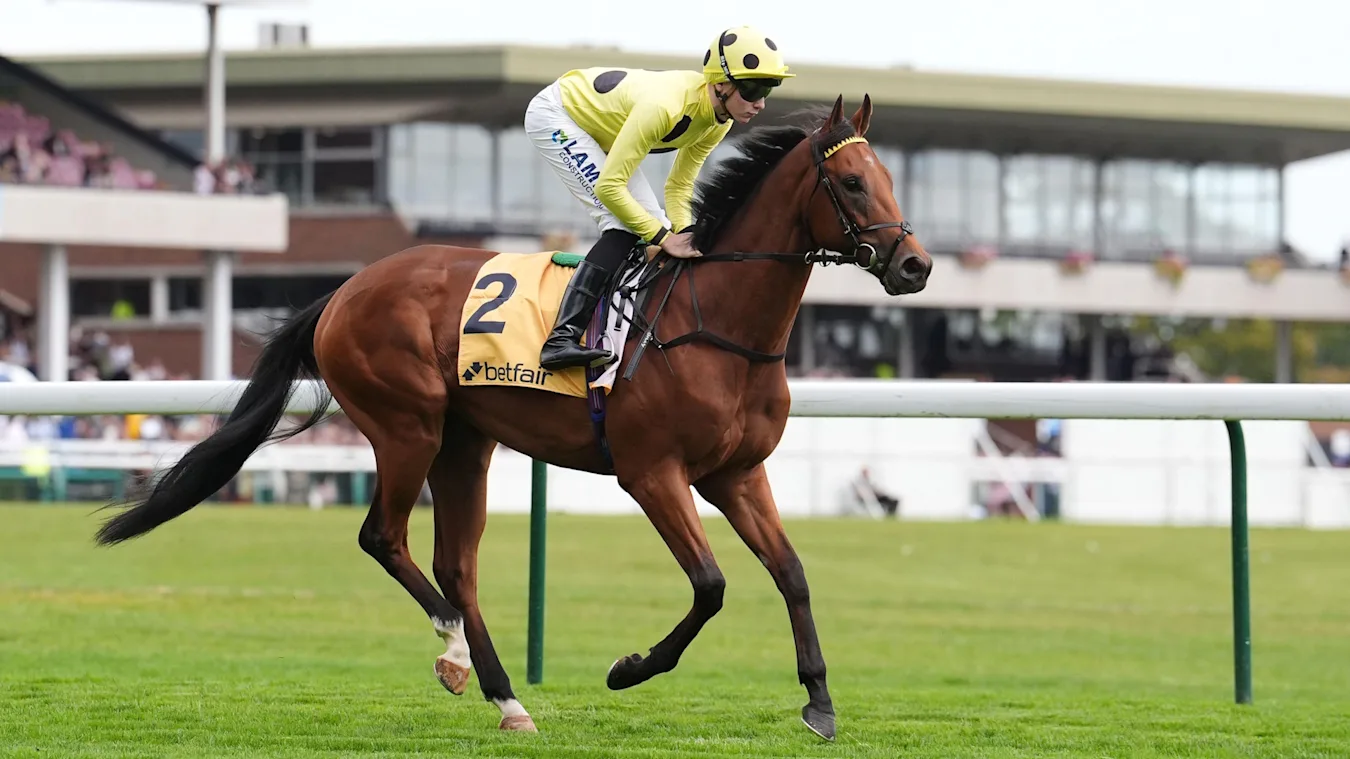 Bow Echo is going for a hat-trick and can enhance his 2,000 Guineas credentials at Newmarket on Saturday