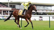 Bow Echo is going for a hat-trick and can enhance his 2,000 Guineas credentials at Newmarket on Saturday