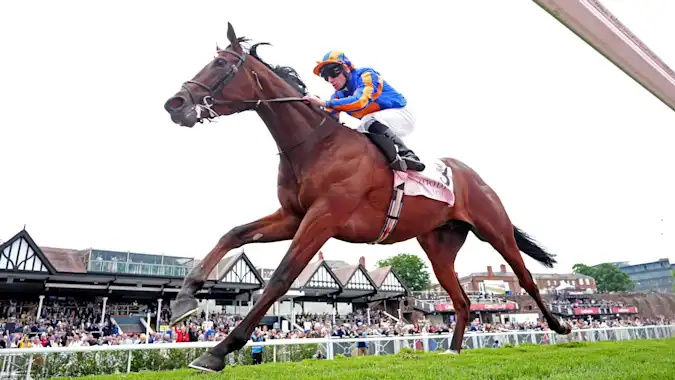 Constitution River is expected to thrive in the Juddmonte International