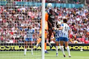 Brighton Daily 20260601