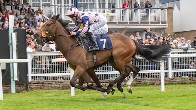 Circe is expected to impress in the Stewards' Cup for trainer Richard Hannon