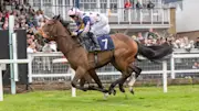 Glorious Goodwood Day Five predictions: Circe to land Stewards' Cup