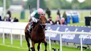 Legacy Link impressively won the Musidora Stakes at York last month under Colin Keane