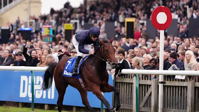Pierre Bonnard is tipped to give Aidan O'Brien a fourth straight St Leger success