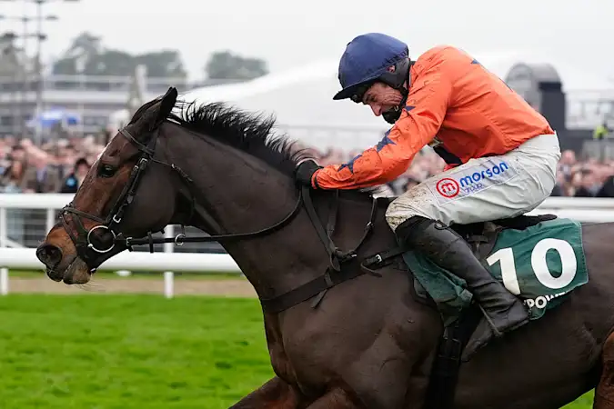 Storm Claudia threatened to derail the November Meeting, as torrential rain caused mass flooding and gale-force winds ripped down trees across the country, but it didn’t dampen the spirits of racegoers, and we were ultimately treated to three thrilling days of National Hunt racing at Cheltenham.