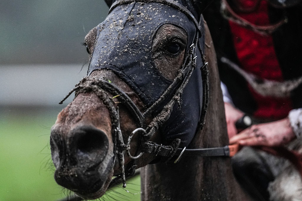 Cheltenham Festival: What We Learned From Christmas Racing 