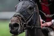 Cheltenham Festival: What We Learned From Christmas Racing
