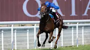 Charlie Appleby's Notable Speech looks to have excellent claims in the City Of York Stakes on Saturday