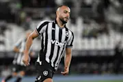 Botafogo x Palmeiras Credit Alamy