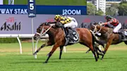 Joliestar looks to have a great chance of following in the footsteps of Australian sprinters Choisir and Black Caviar in the feature race