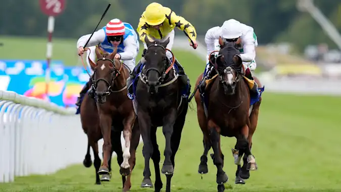 Align The Stars (centre) is one of the horses predicted to sparkle on Friday at Goodwood