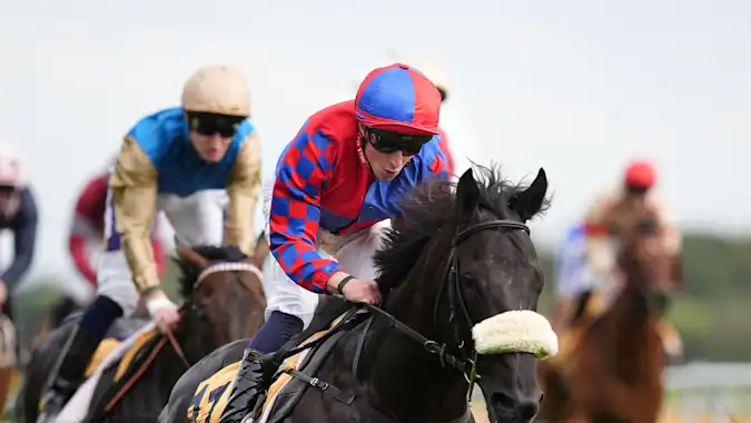 Big Mojo won the Sprint Cup at Haydock a year ago and could be in line to repeat the feat now