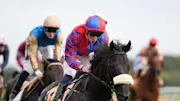 Big Mojo won the Sprint Cup at Haydock a year ago and could be in line to repeat the feat now