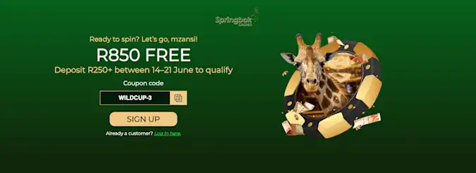 Springbok South Africa World Cup Offer