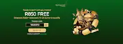 Springbok South Africa World Cup Offer