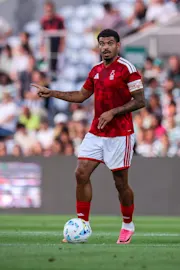 Nottingham Forest Daily 20260811