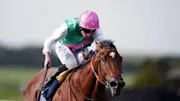 Nostrum set for thorough check-up after York disappointment