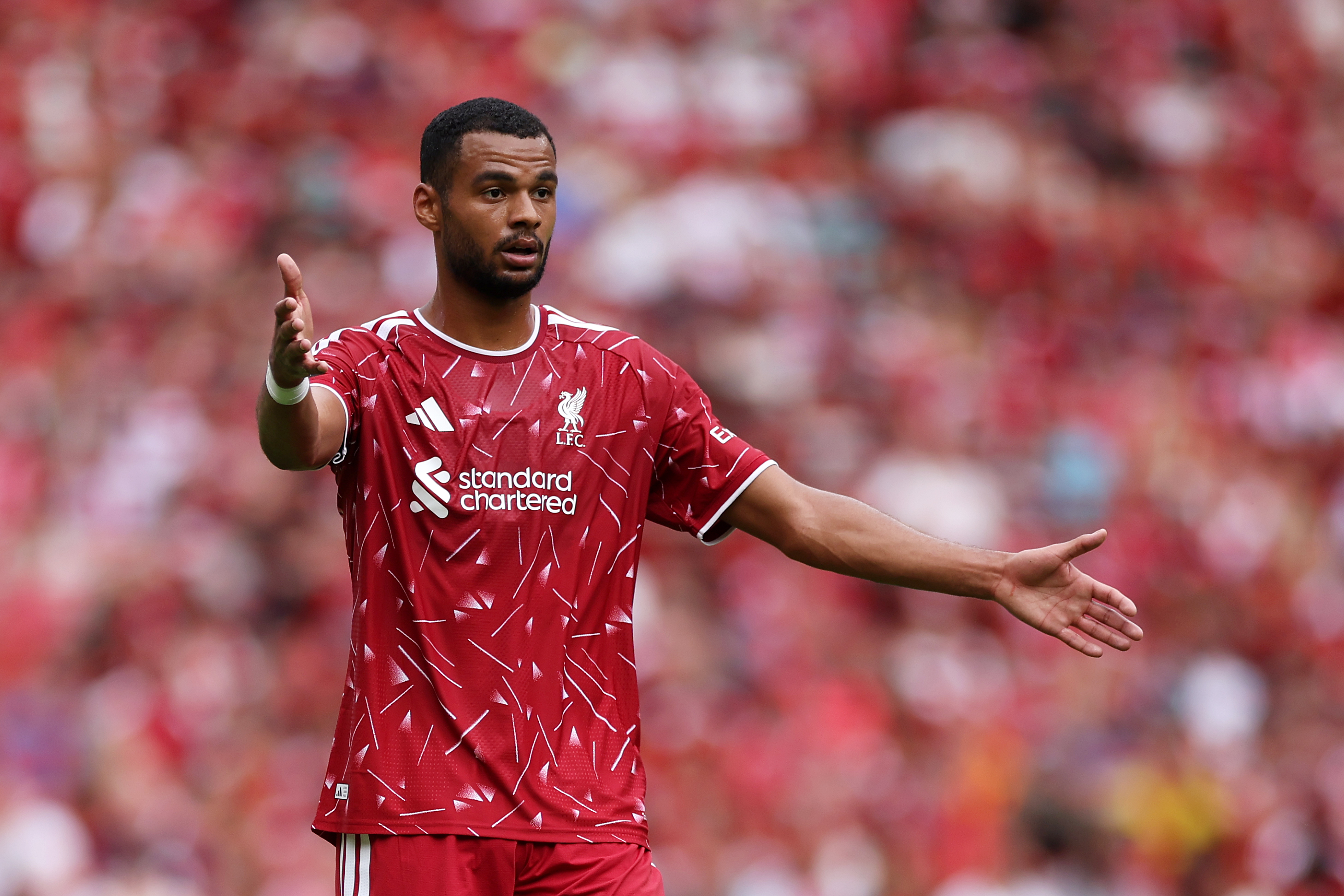 Tottenham Hotspur Daily News Roundup - LiveScore