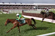 LiveScore's weekly horse racing predictions