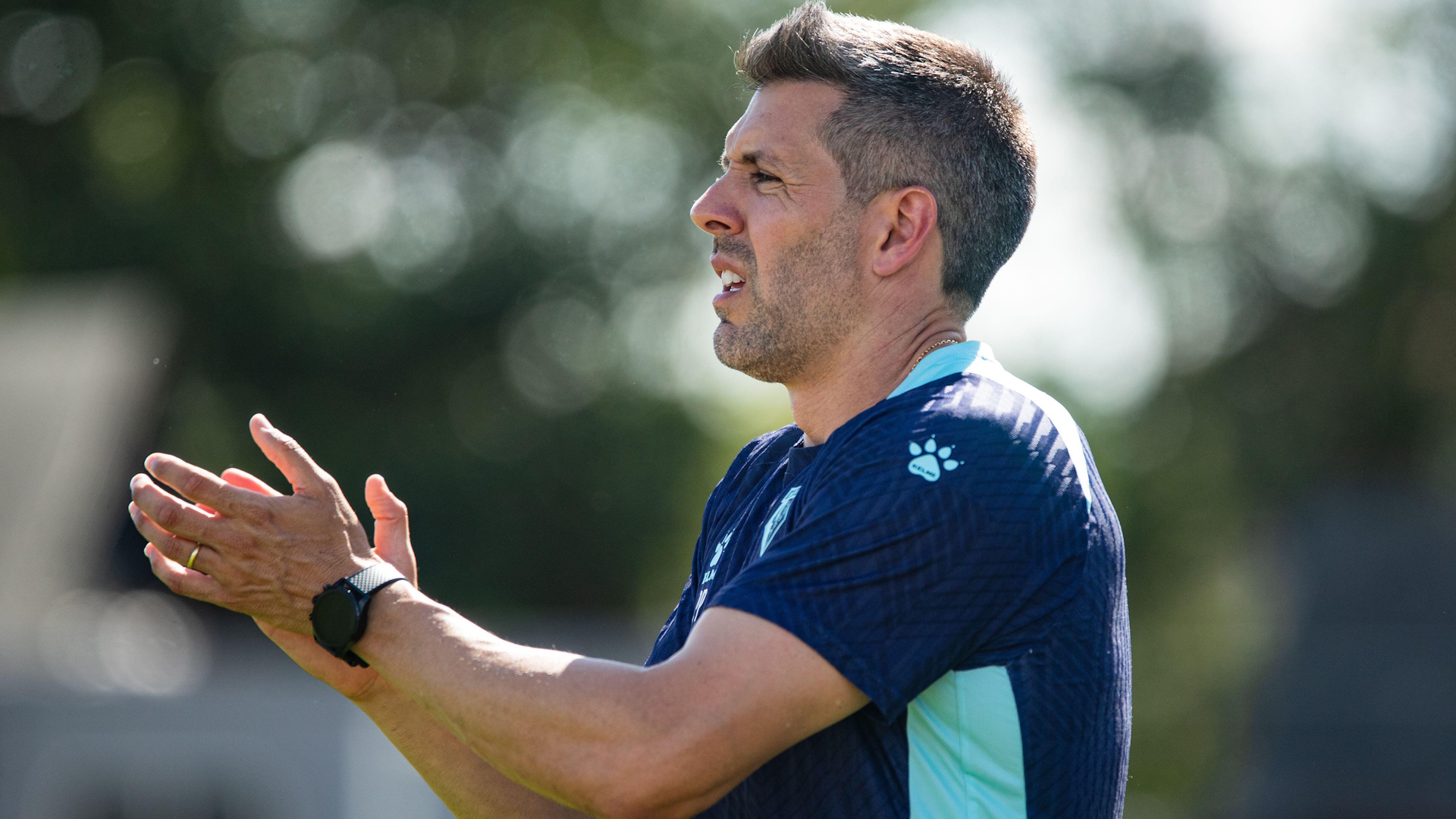 Paulo Pezzolano has seen his Watford side pick up four points from their last two games
