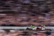 Cheltenham Festival is the pinnacle of jumps racing