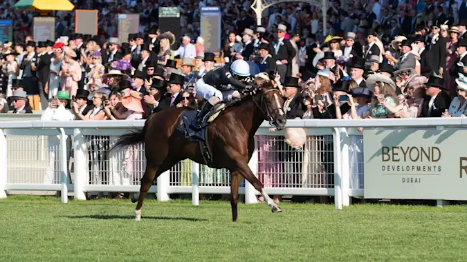Bacio was a very impressive winner at Royal Ascot and he looks to have an excellent chance in Friday's feature race