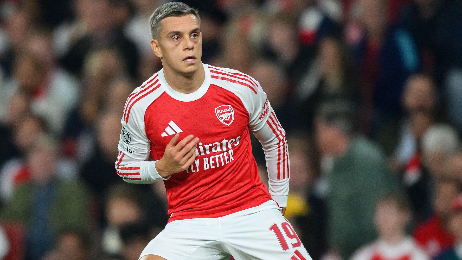 Premier League Team News: Injuries & Doubts - Week 13