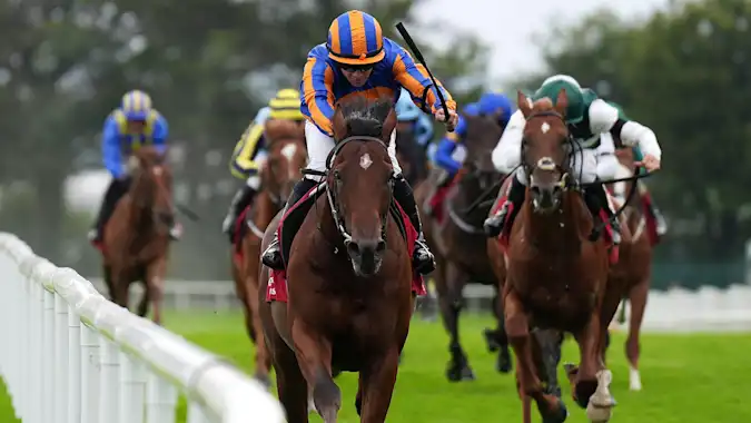 Aidan O'Brien will have high hopes for Constitution River in the Coral-Eclipse at Sandown on Saturday.