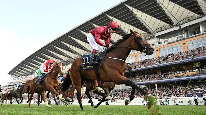 Johnny Murtagh's Siege Of Troy looks to have a great chance of reversing the Goodwood form with Ethical Diamond