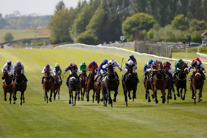 The Tattersalls Irish Guineas