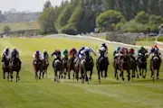 The Tattersalls Irish Guineas