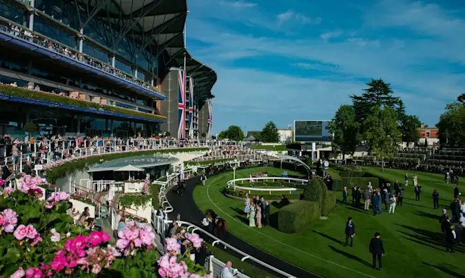 The Parade Ring at Ascot Racecourse