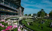 Royal Ascot Race Predictions & Tips: 8 Horses To Look Out For