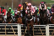 Cheltenham Festival 2026 Day 2