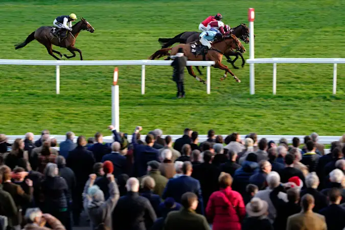 Cheltenham Festival 2026 Day 2 Wednesday - Weatherbys Champion Bumper Preview