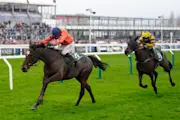 Cheltenham Festival 2026 Day 4 Friday - Martin Pipe Conditional Jockeys- Handicap Hurdle Preview
