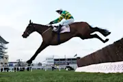 Return of the jumps: All roads lead to Cheltenham