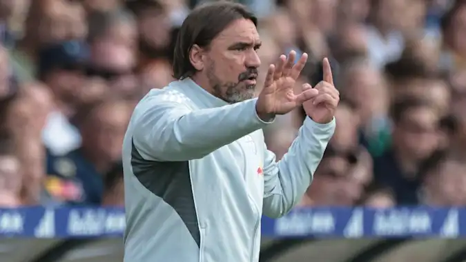 Daniel Farke's Leeds are getting closer to Premier League survival