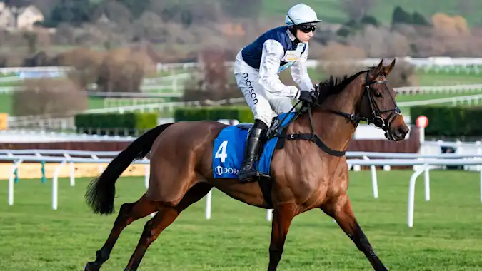 Kabral Du Mathan and Harry Skelton won at Cheltenham on New Year's Day 