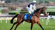 Kabral Du Mathan and Harry Skelton won at Cheltenham on New Year's Day 